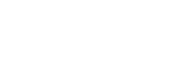Security Fist