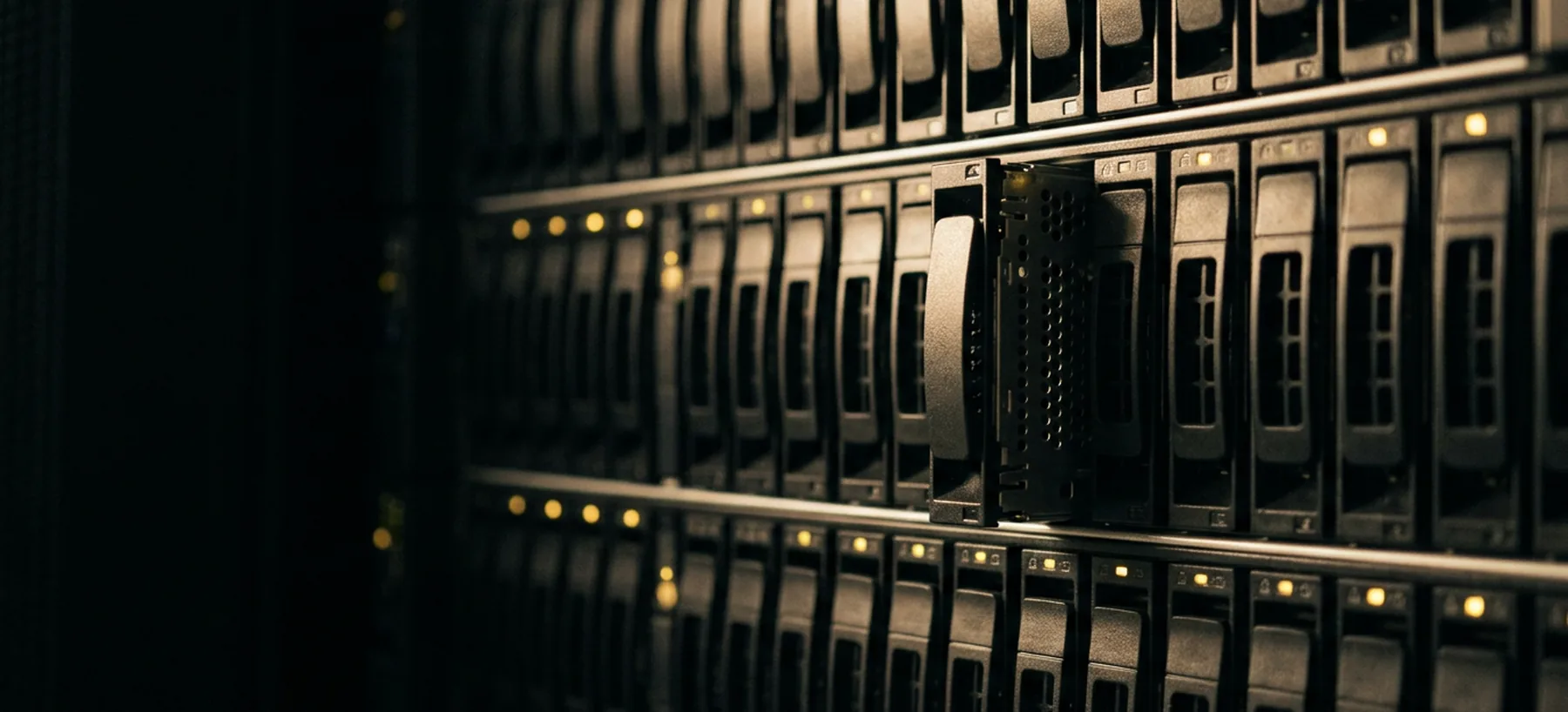 Ranked disk carriers in a storage shelf